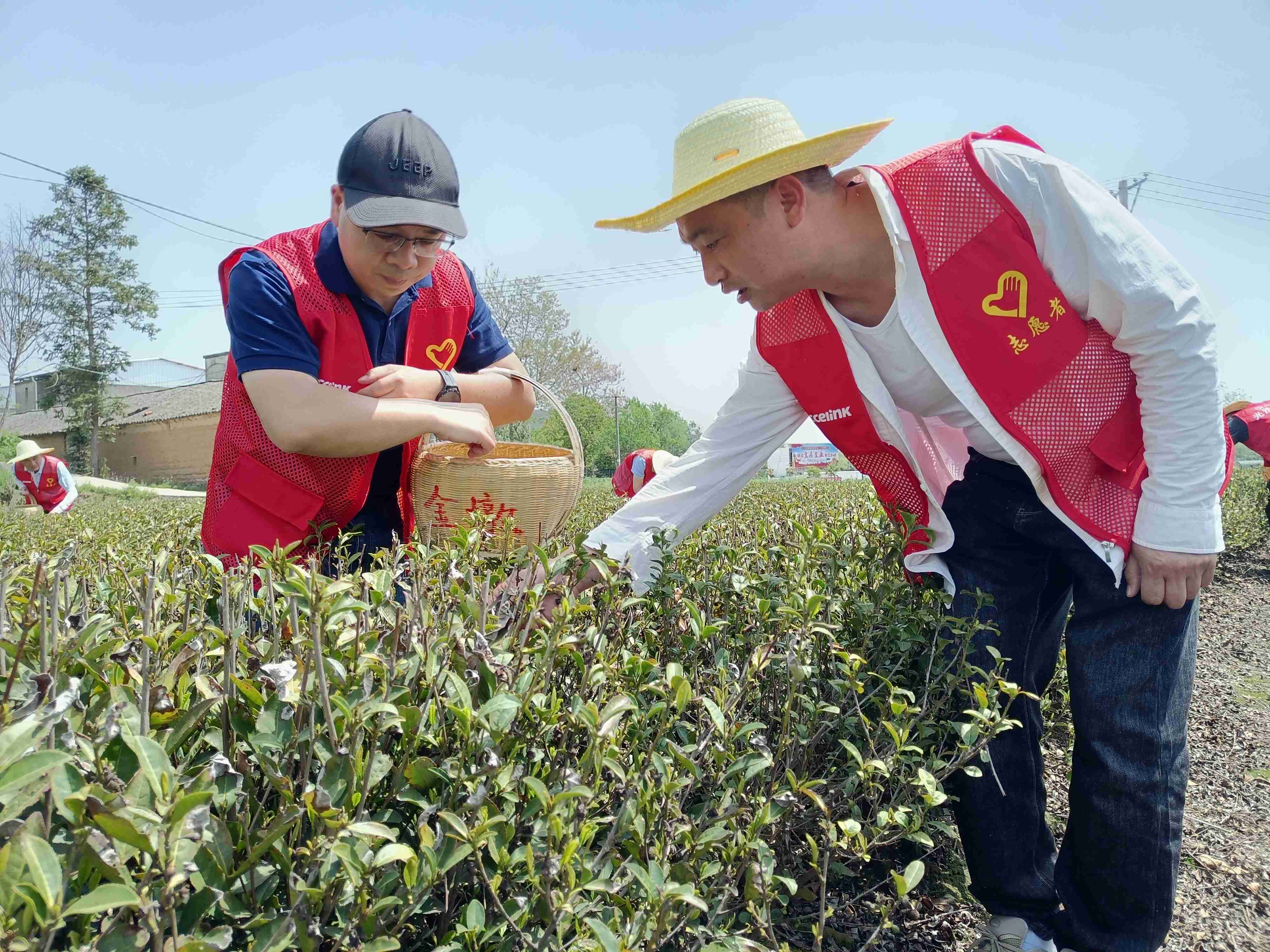 利来w66_利国娱乐国际老牌w66- welcome